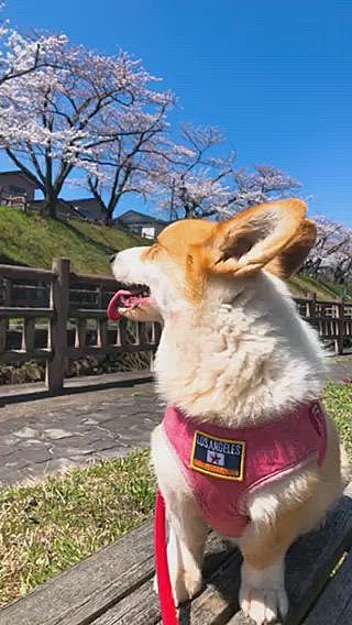 いい笑顔頂きました😃