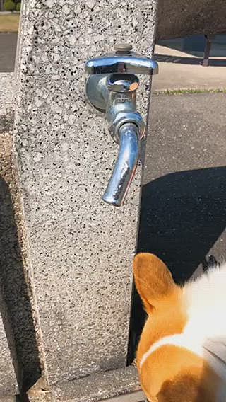 水分補給😃
風が強くて、水飲んでるけど顔も洗ってる風になったよ。
ワイルドのみ💦
口付けてないから大丈夫だよね?🌀