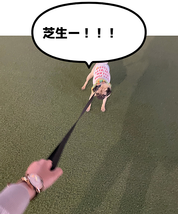 お散歩ー♪🚶‍♂️！