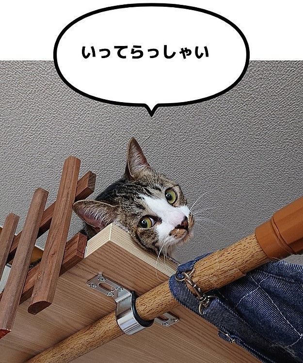 ておにゃるの投稿