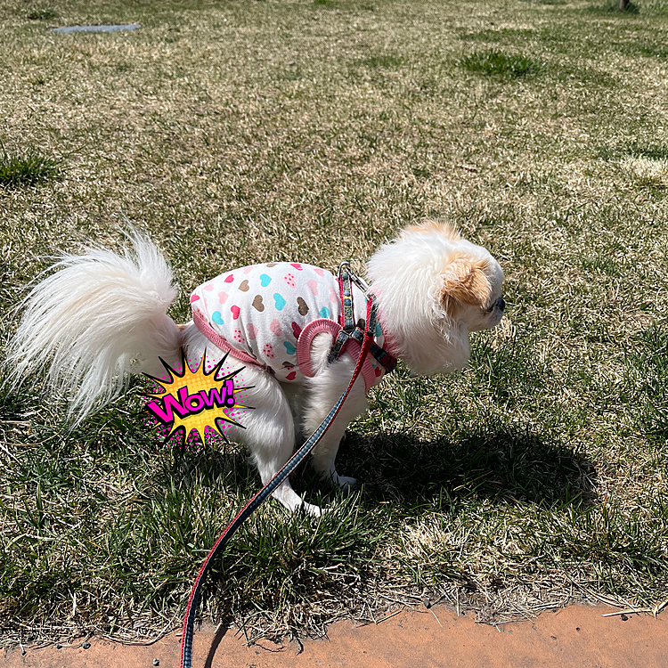 今日も健康的だね❣️😊