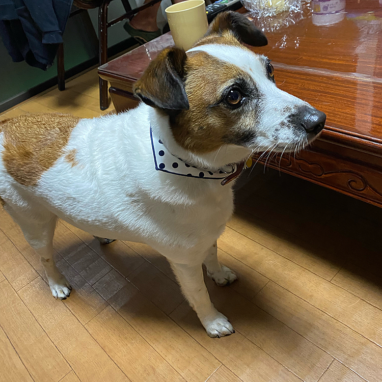 今日は、白黒ドット柄、、似合うね〜