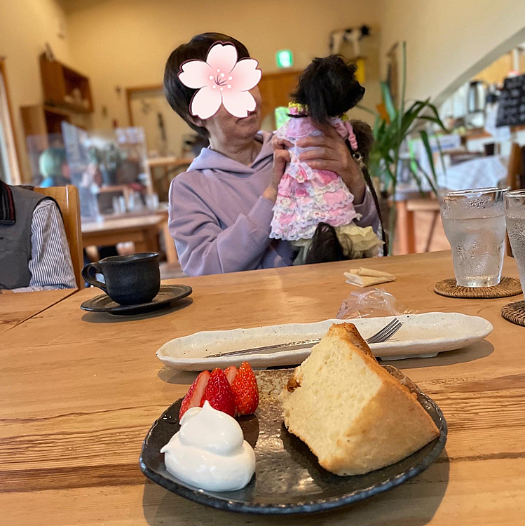 母に誤魔化されてるハピさん。店内OKだけど、食べ物はあげないでねだとの事で🍓爆速で食べました。証拠隠滅！