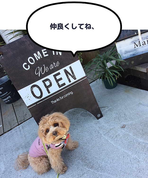 caféのテラス席も気持ちよくて🈵