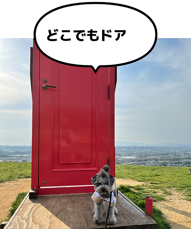 ワールド牧場にきたワン

ワールド牧場


585-0014 大阪府南河内郡河南町白木1456-2 

#ワールド牧場
#どこでもドア
#大阪犬連れ旅行 