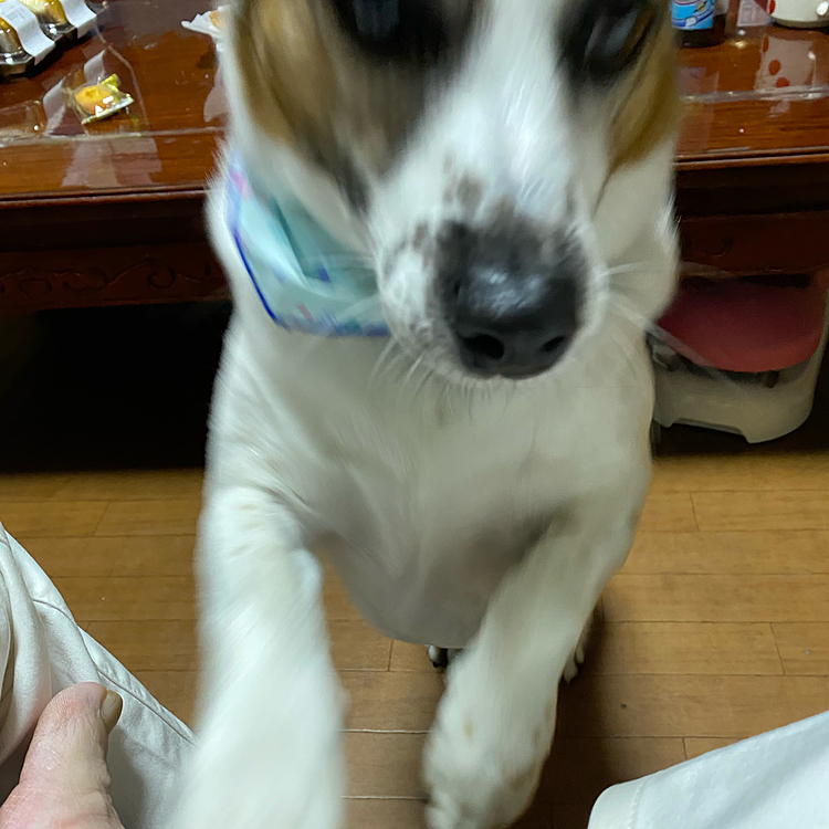 イタズラに向かう瞬間