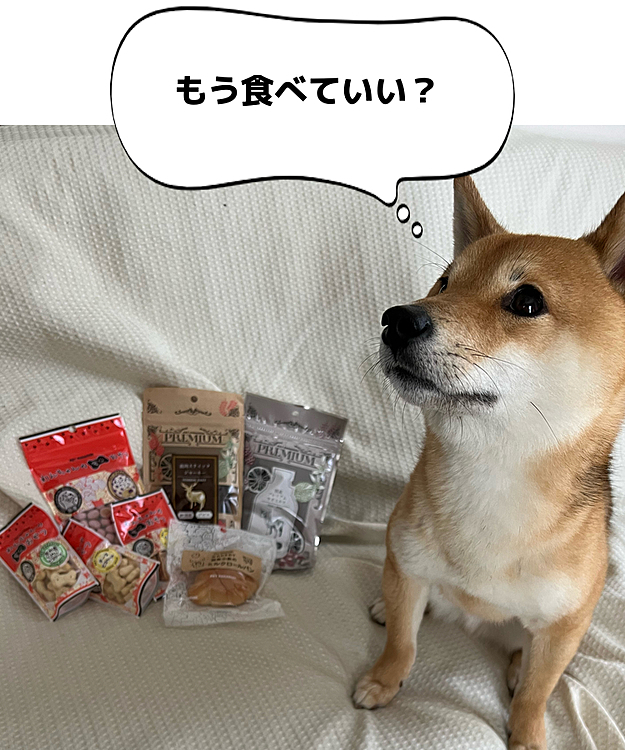 櫂の好きなヤギミルクやお菓子も購入🍪