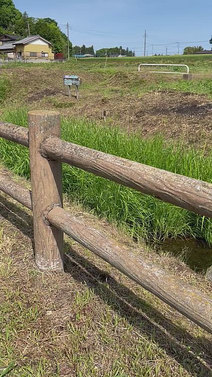 小川沿いを気持ちよくお散歩🎶
