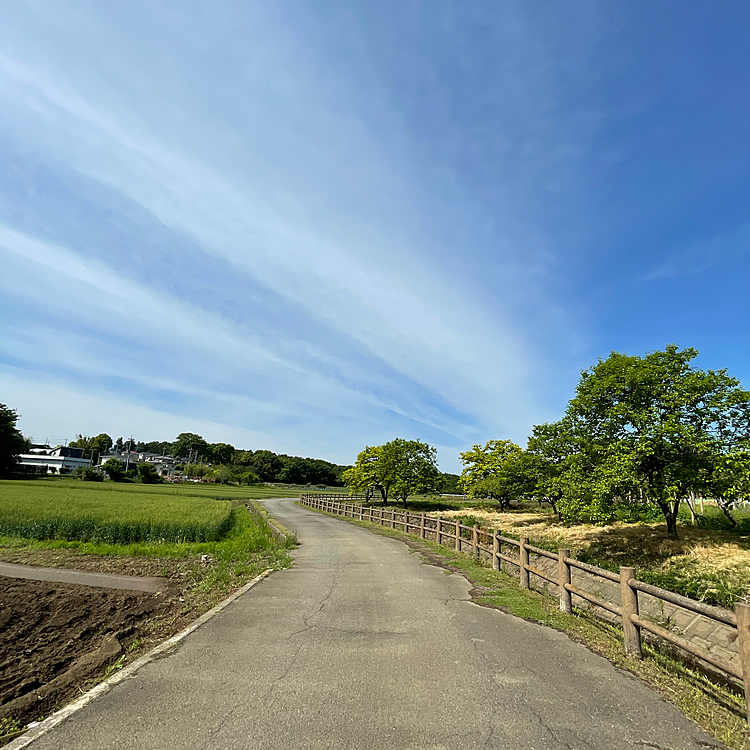 とっても良いお天気🎶