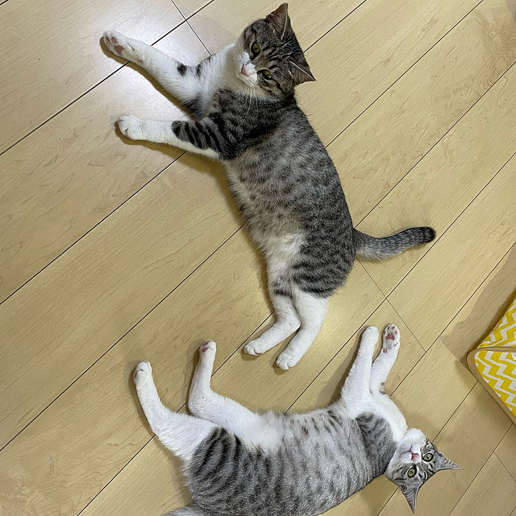 今日は暑いよー😵
