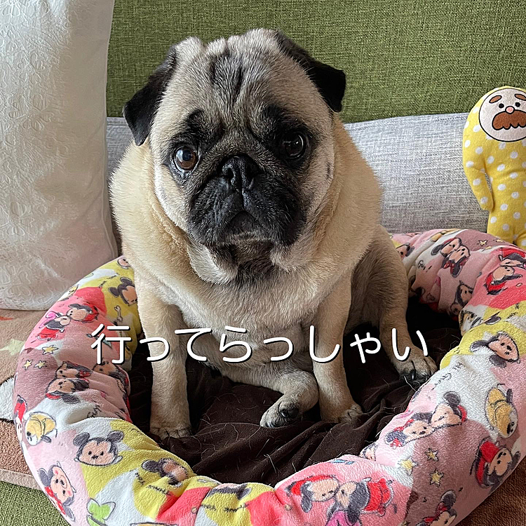 今度は打ちっぱなしへ‥⛳️