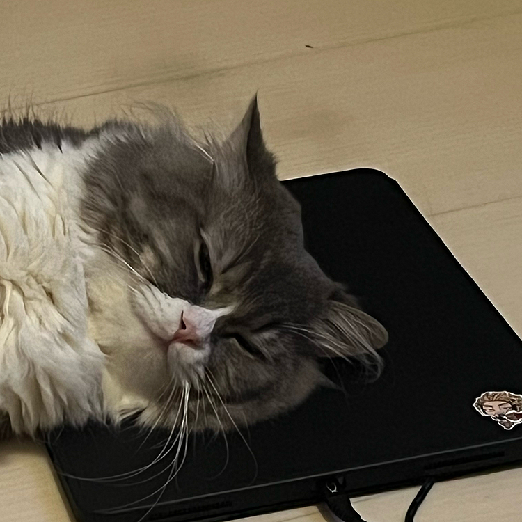 えりの投稿