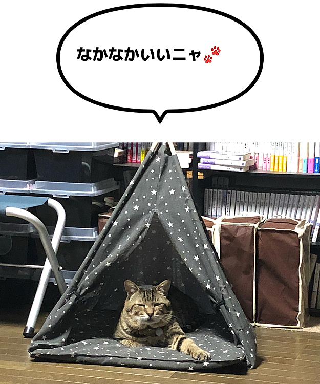 Max&Kittyの投稿