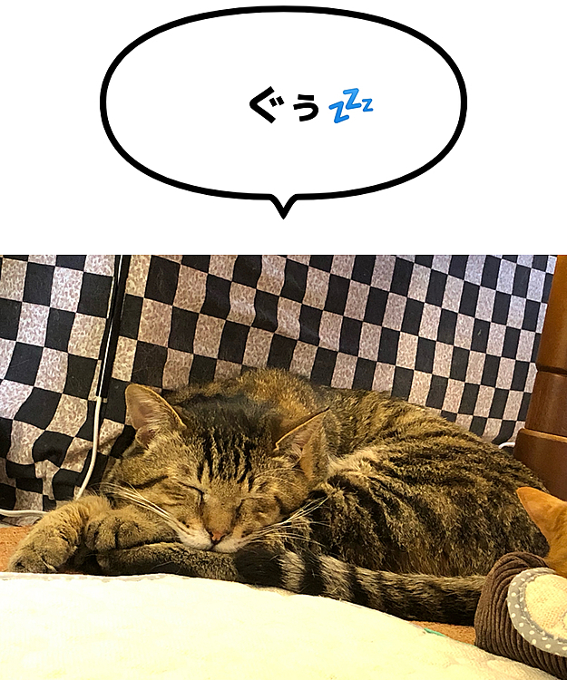 Max&Kittyの投稿