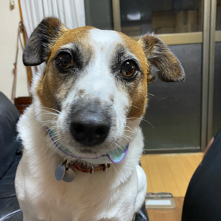 えっ？何か⁉️