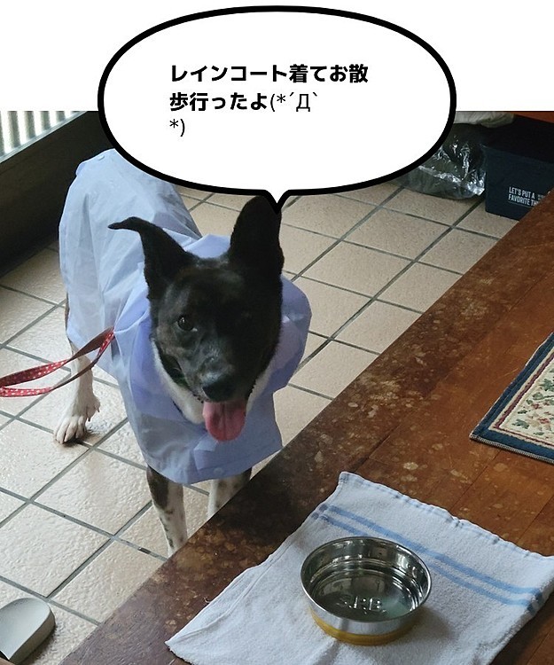 ビンゴの投稿