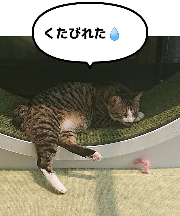 ておにゃるの投稿