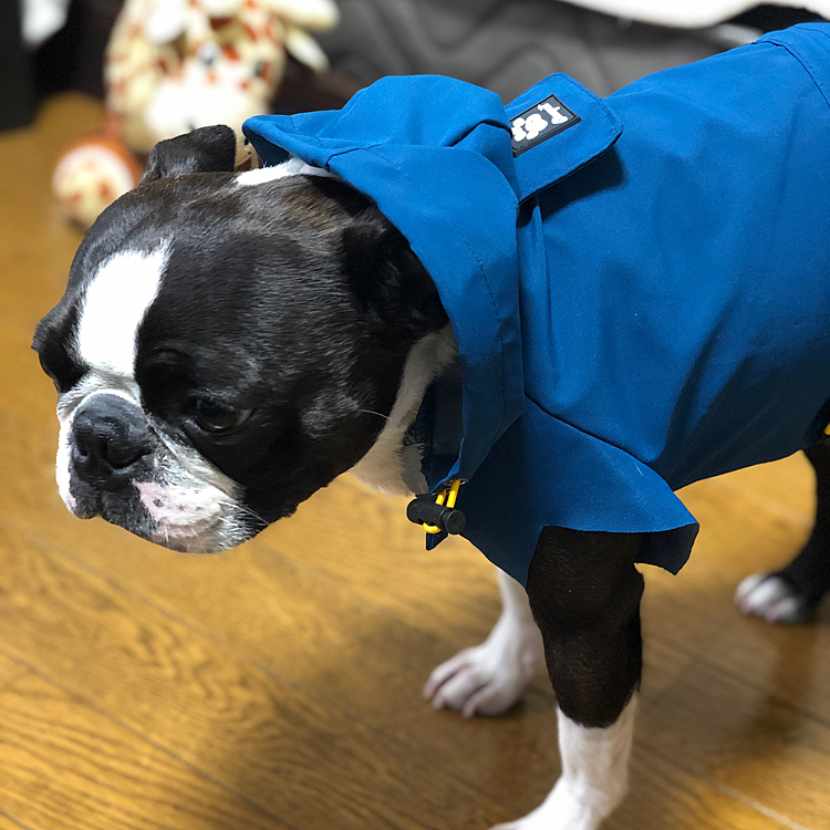 オレ、レインコート嫌いなんですけど、
、、から梅雨気味でラッキー🤞