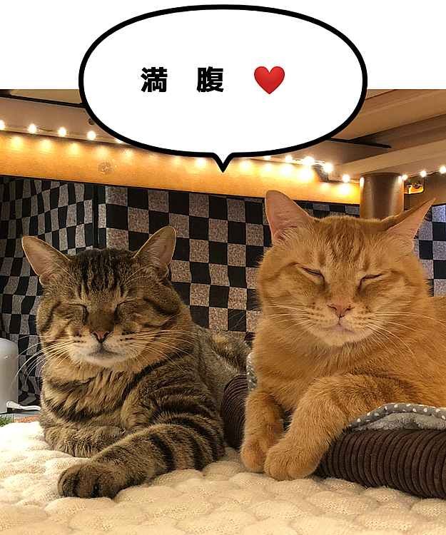 Max&Kittyの投稿