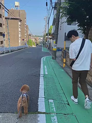 今日は30度予報のハッピー地方🥵
2週連続でピザモーニング🍕
風もあり日陰は心地よく過ごせますが帰り道は少し暑く感じました💦
ママは昨日買った帽子を早速被ってお散歩👒
お昼はベランダでまたまたニンニクたっぷりのパスタランチからのカフェタイム🍝
ハッピーに以前買った帽子を被せてみましたが少しサイズ小さめかも😅
そして顔デカだからかやっぱりお帽子似合わない😂