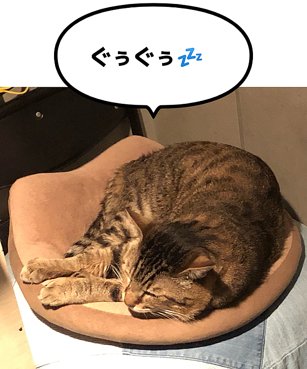 Max&Kittyの投稿