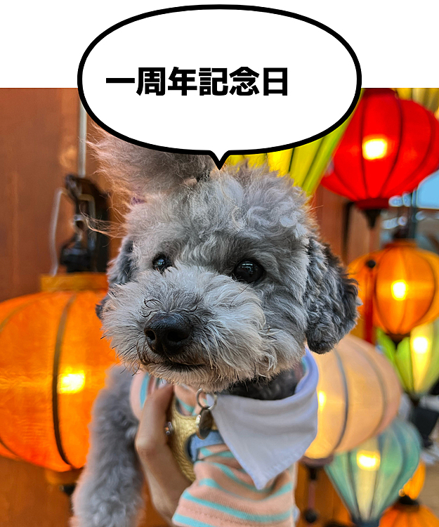うちに来て一周年