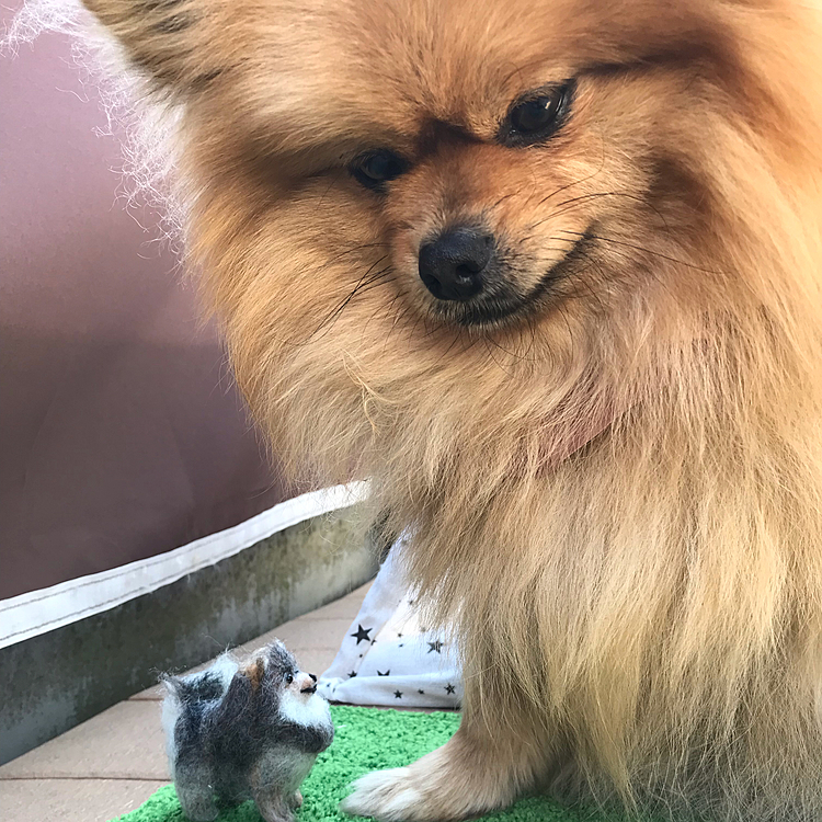 ぽんずだよ💕