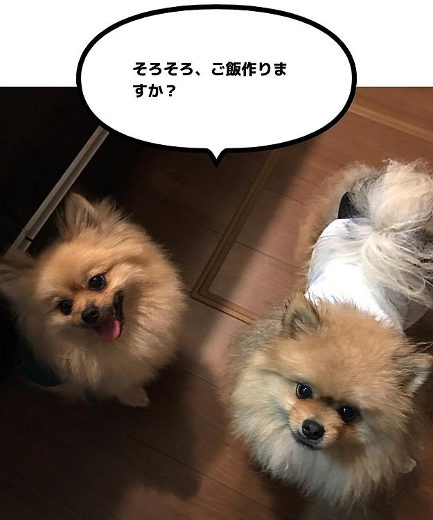 ぽんずandのえる　の投稿