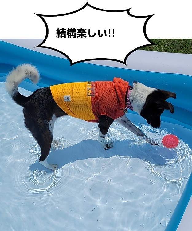 涼しくて気持ちいいねー!!