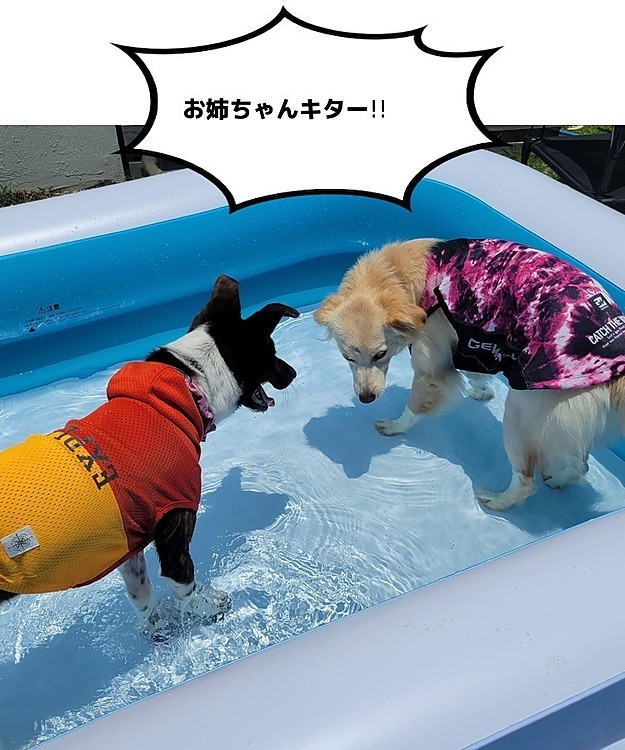 久しぶりに会えた大好きなお姉ちゃんも来て
エンジョイし始めるビンゴ(笑)