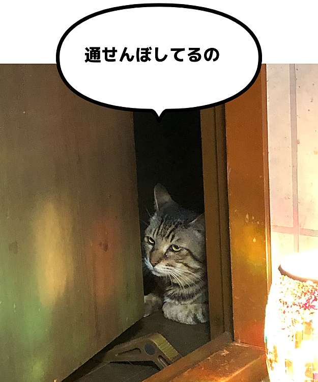 部屋から出られないよ