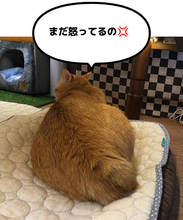 こっちがですけど