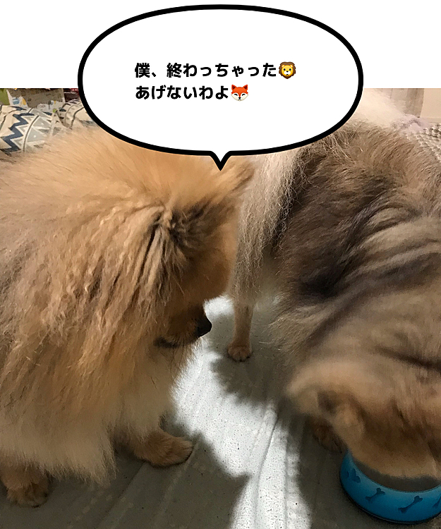 ぽんずandのえる　の投稿
