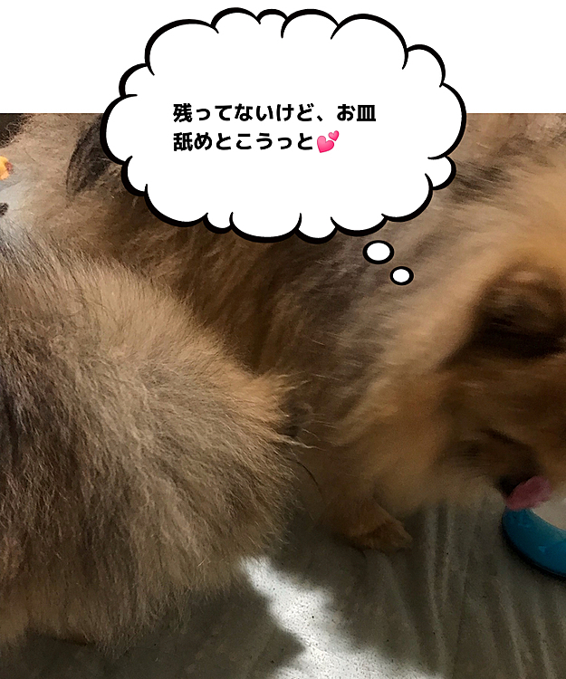ぽんずandのえる　の投稿
