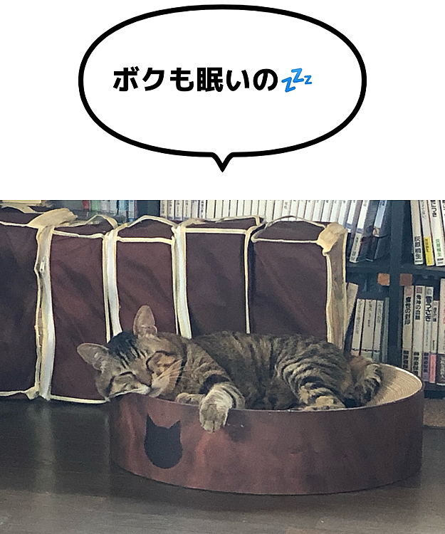 Max&Kittyの投稿