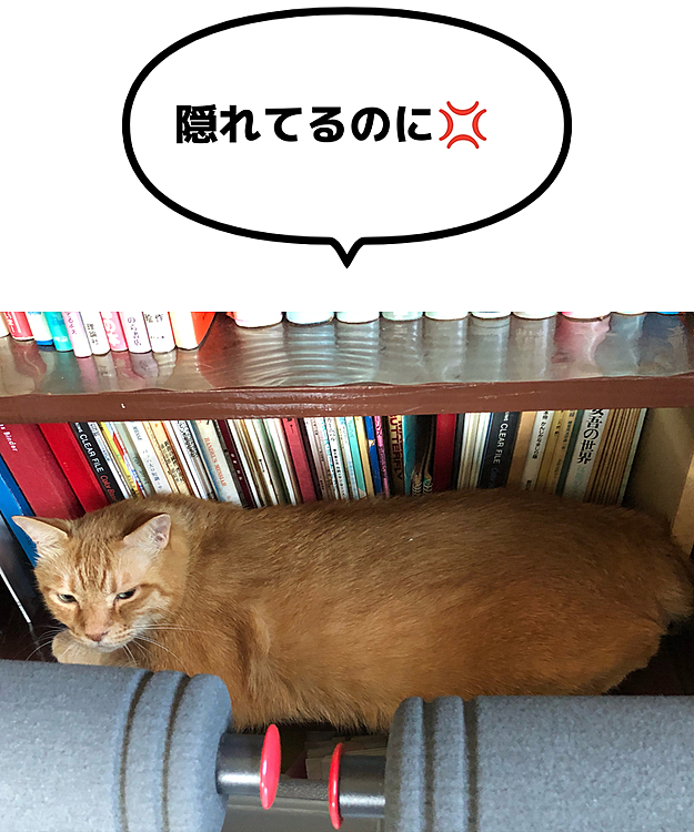 Max&Kittyの投稿