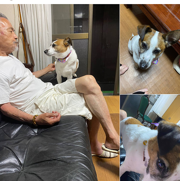 皆んなに、ちょーだいしに❣️