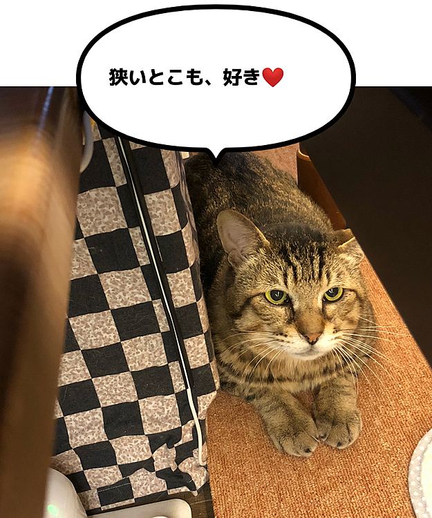 Max&Kittyの投稿