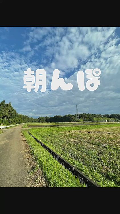 ノンビリ田舎道、日陰を選んでお散歩です🌲
鳥が賑やかです🦉