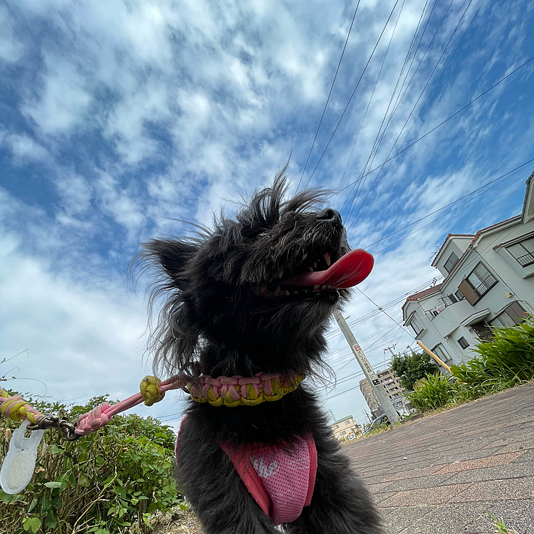 夏の空〜
暑いですねぇ🥵