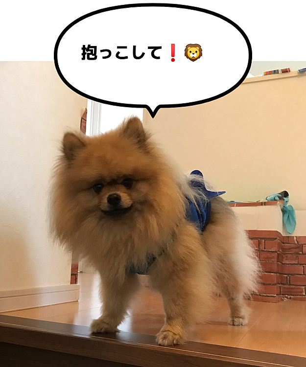 ママ、階段降りるの？僕抱っこして欲しいなって甘える兄ちゃん！