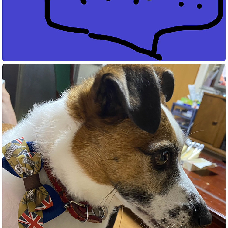 ふと、何かに、気づいて⁉️