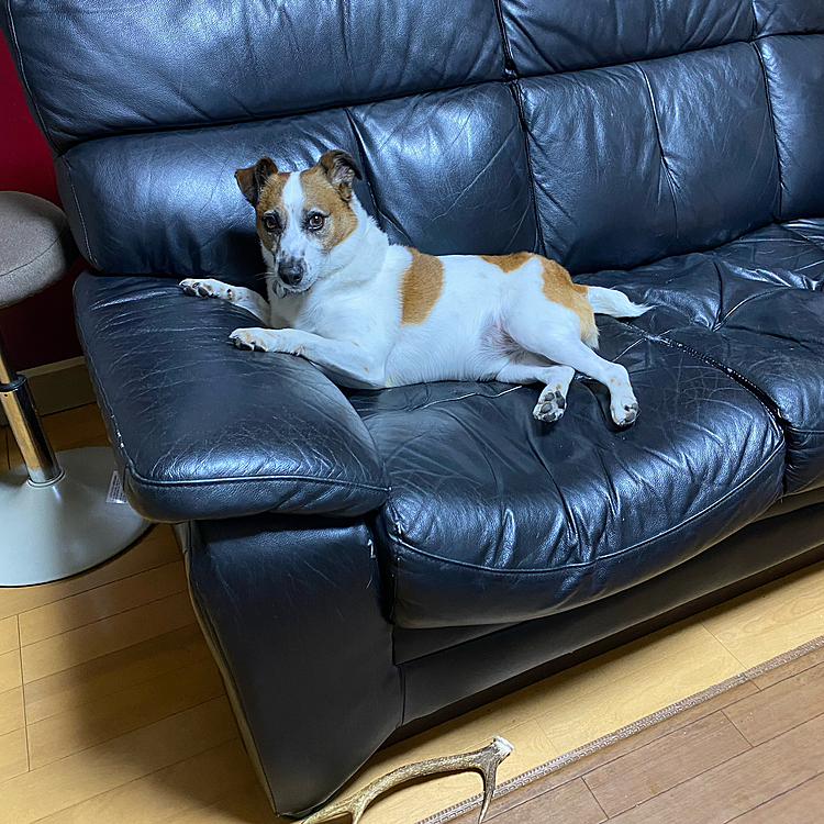 私の場所、取られました