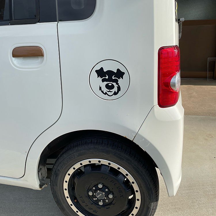 先日、車をポールにぶつけたので修理に出したら可愛い台車😍
けど、痛い出費😭

