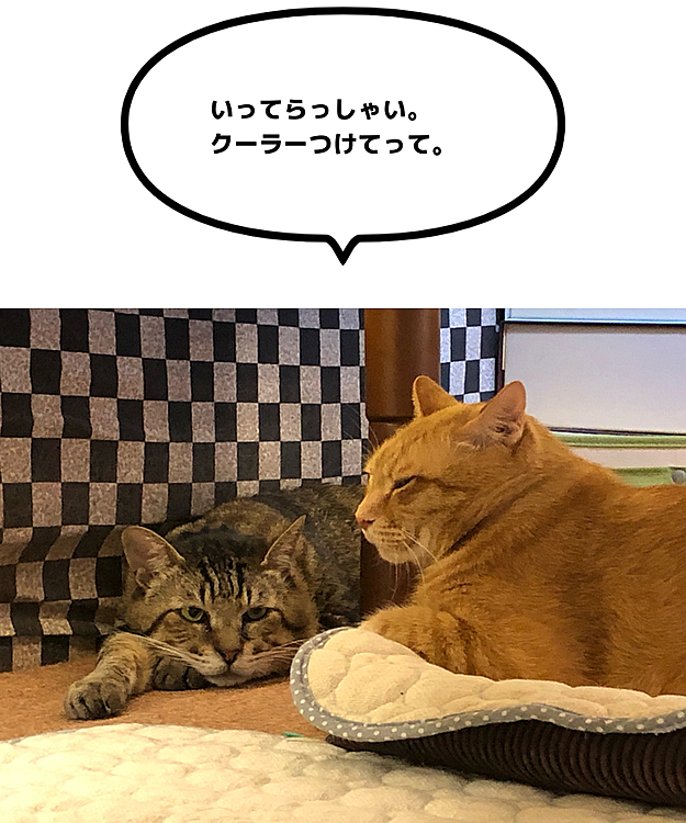 Max&Kittyの投稿