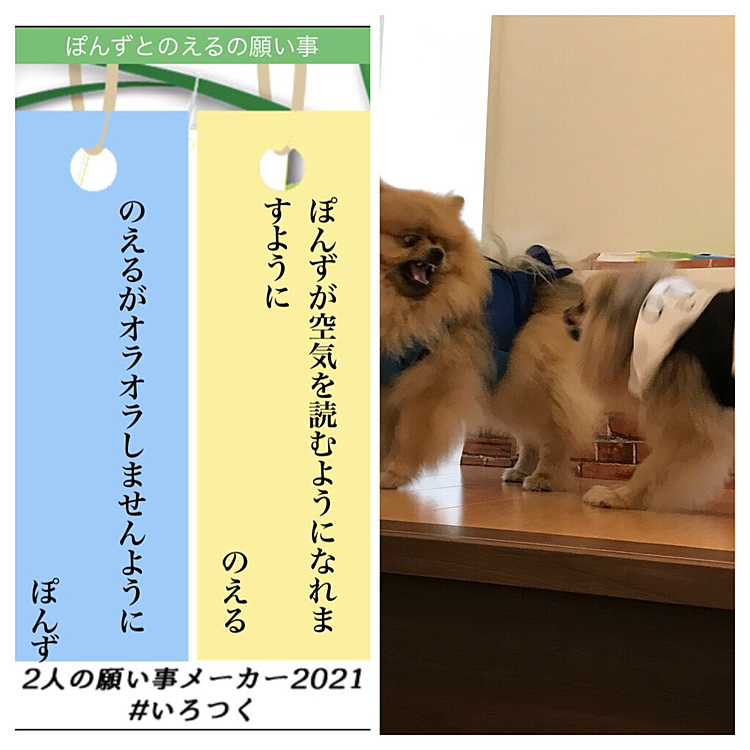 あまりにもピッタリな願いごとで笑った