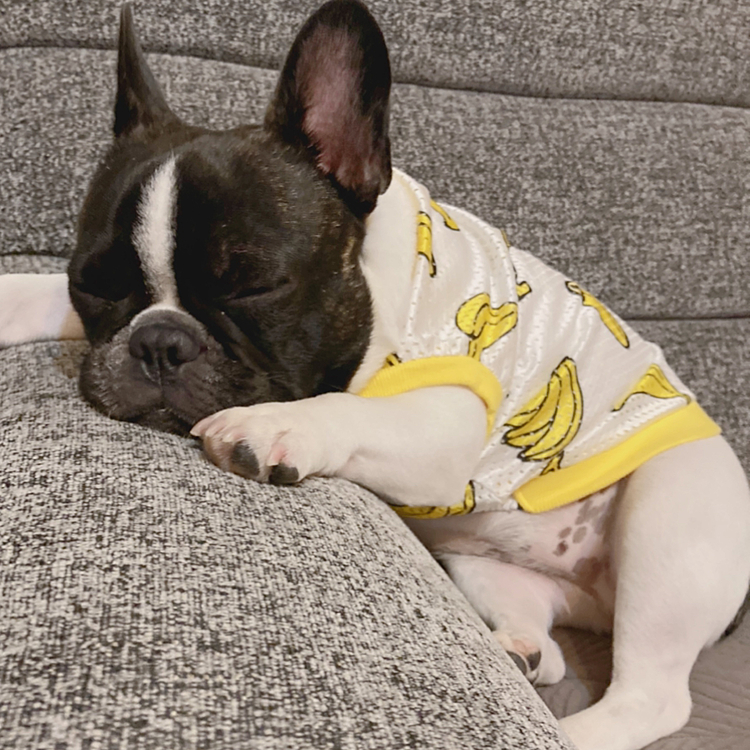 そんなバナナ🍌