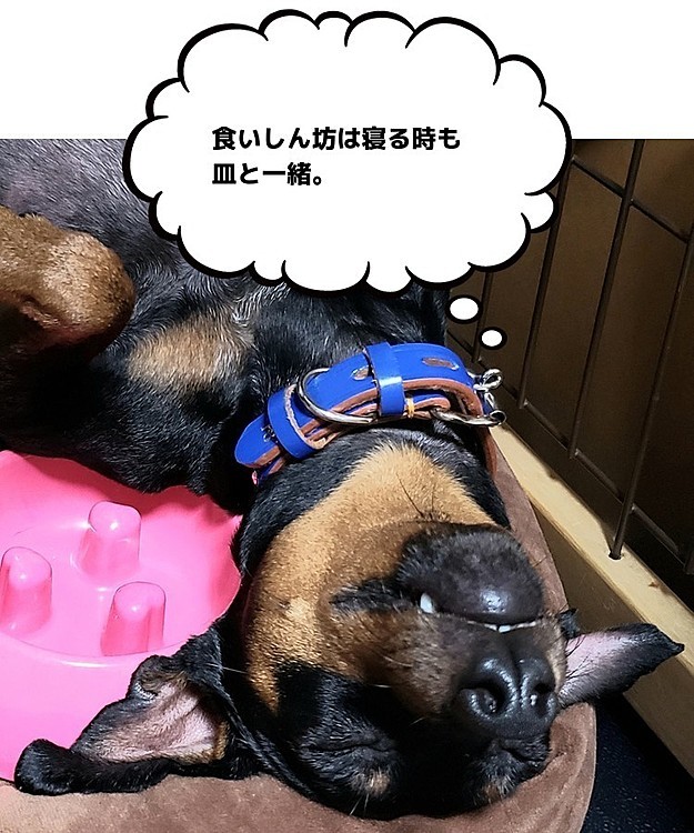 にょろにょろのちかの投稿