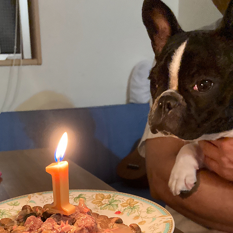 おんちゃんハピバ〜🎂