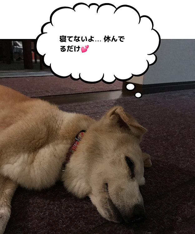 本日、18歳になりました。HBD💕Hana💕